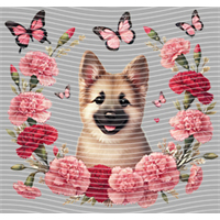 Animal Integration-DW 500